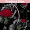 24 PCS Artificial Red Roses with Long Stems 20 Inch Realistic Silk Rose Flowers for Wedding Bouquet Valentine Party Home Table Centerpiece Decoration